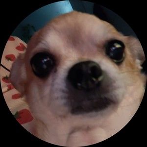 Meet your Posher, Chelsea